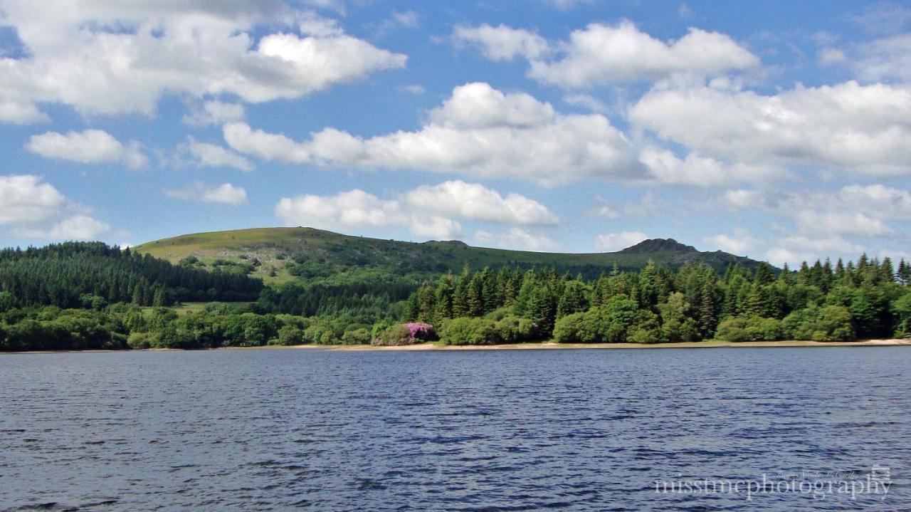 Dartmoor Reach Alpaca Farm Heated Cabins 5 Mins Drive To Dartmoor Bovey Tracey Bagian luar foto