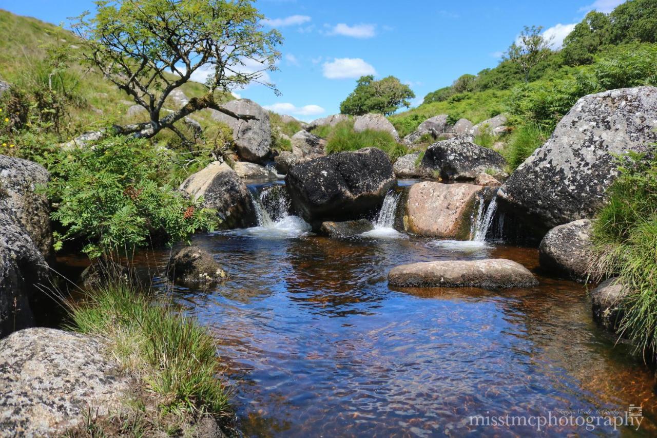 Dartmoor Reach Alpaca Farm Heated Cabins 5 Mins Drive To Dartmoor Bovey Tracey Bagian luar foto