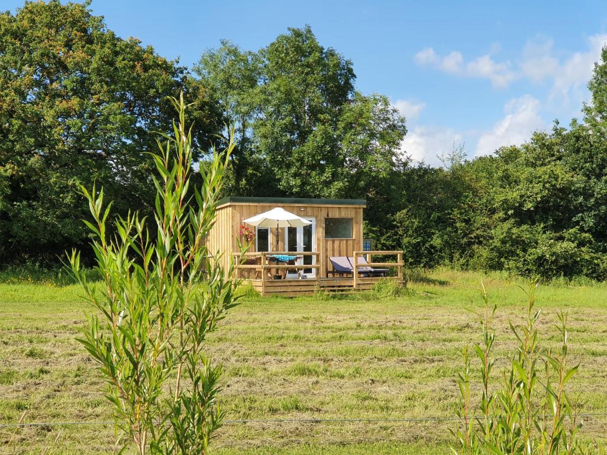 Dartmoor Reach Alpaca Farm Heated Cabins 5 Mins Drive To Dartmoor Bovey Tracey Bagian luar foto