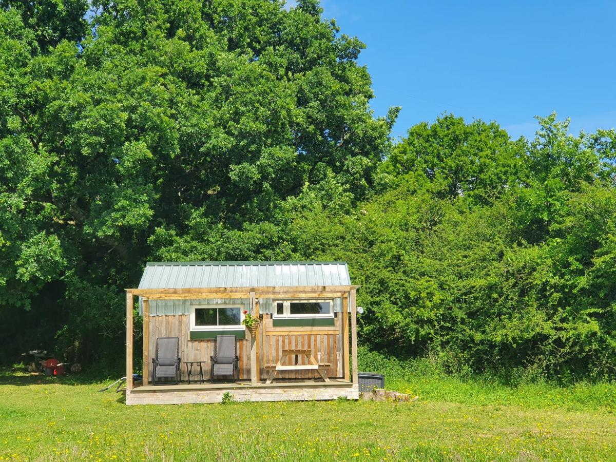 Dartmoor Reach Alpaca Farm Heated Cabins 5 Mins Drive To Dartmoor Bovey Tracey Bagian luar foto