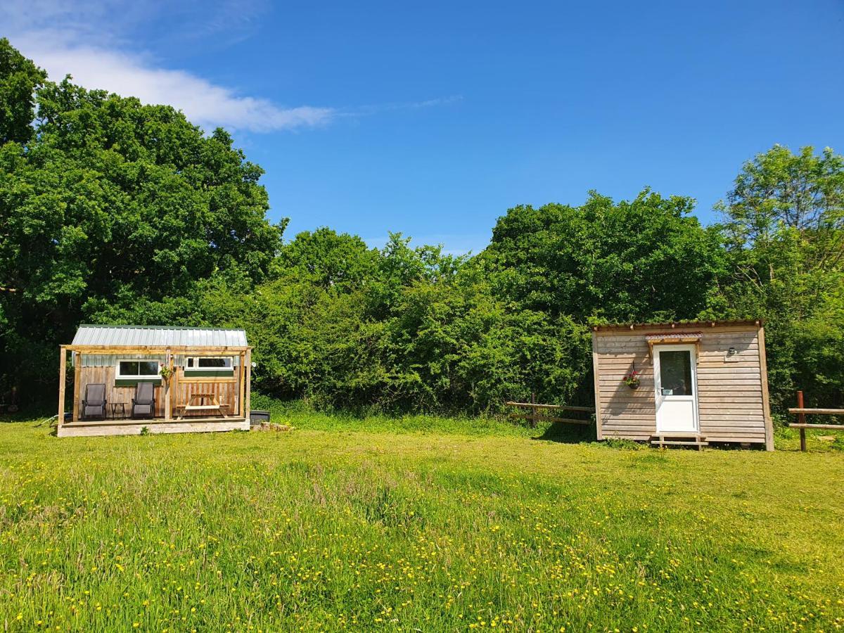 Dartmoor Reach Alpaca Farm Heated Cabins 5 Mins Drive To Dartmoor Bovey Tracey Bagian luar foto