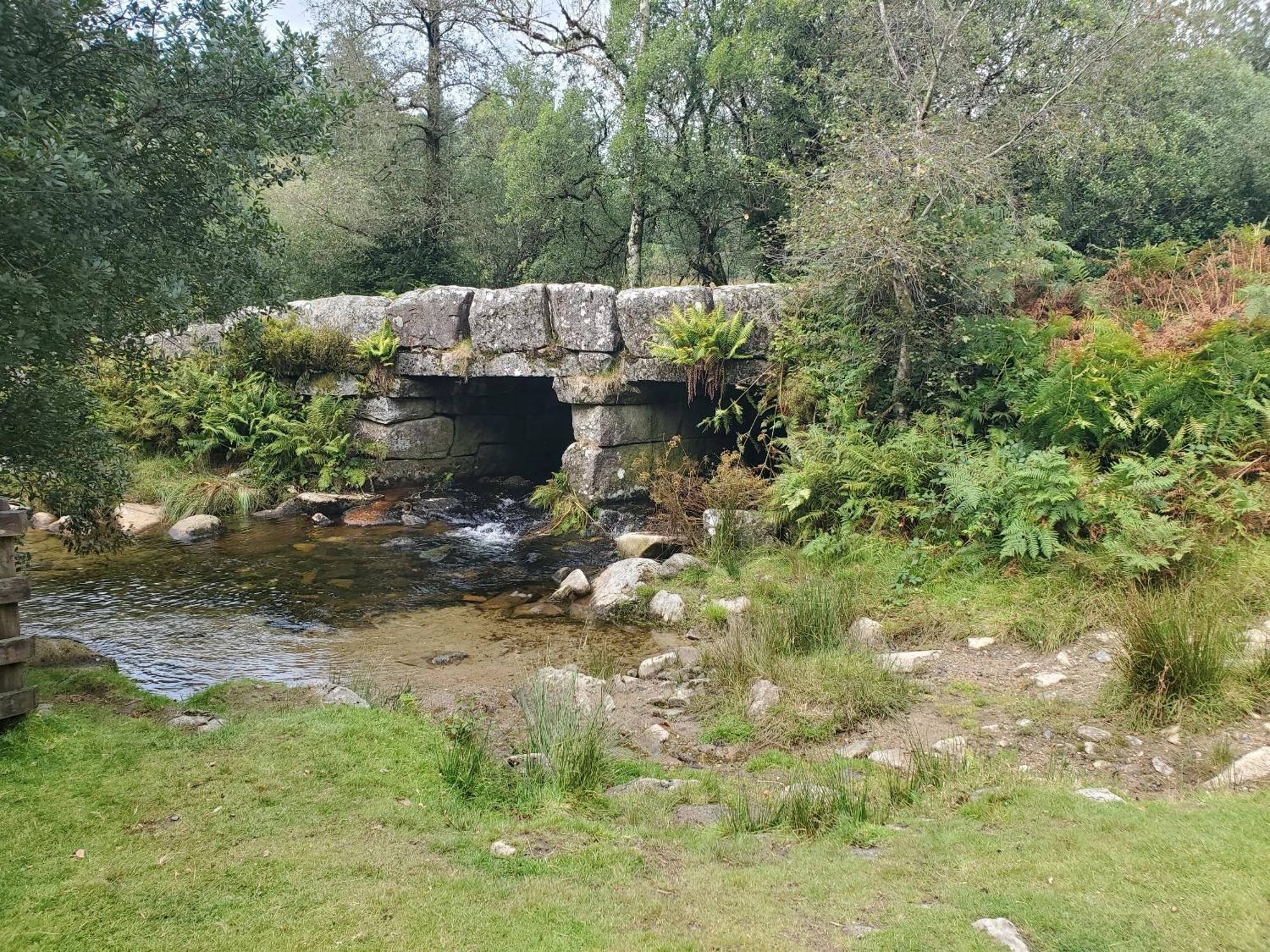 Dartmoor Reach Alpaca Farm Heated Cabins 5 Mins Drive To Dartmoor Bovey Tracey Bagian luar foto