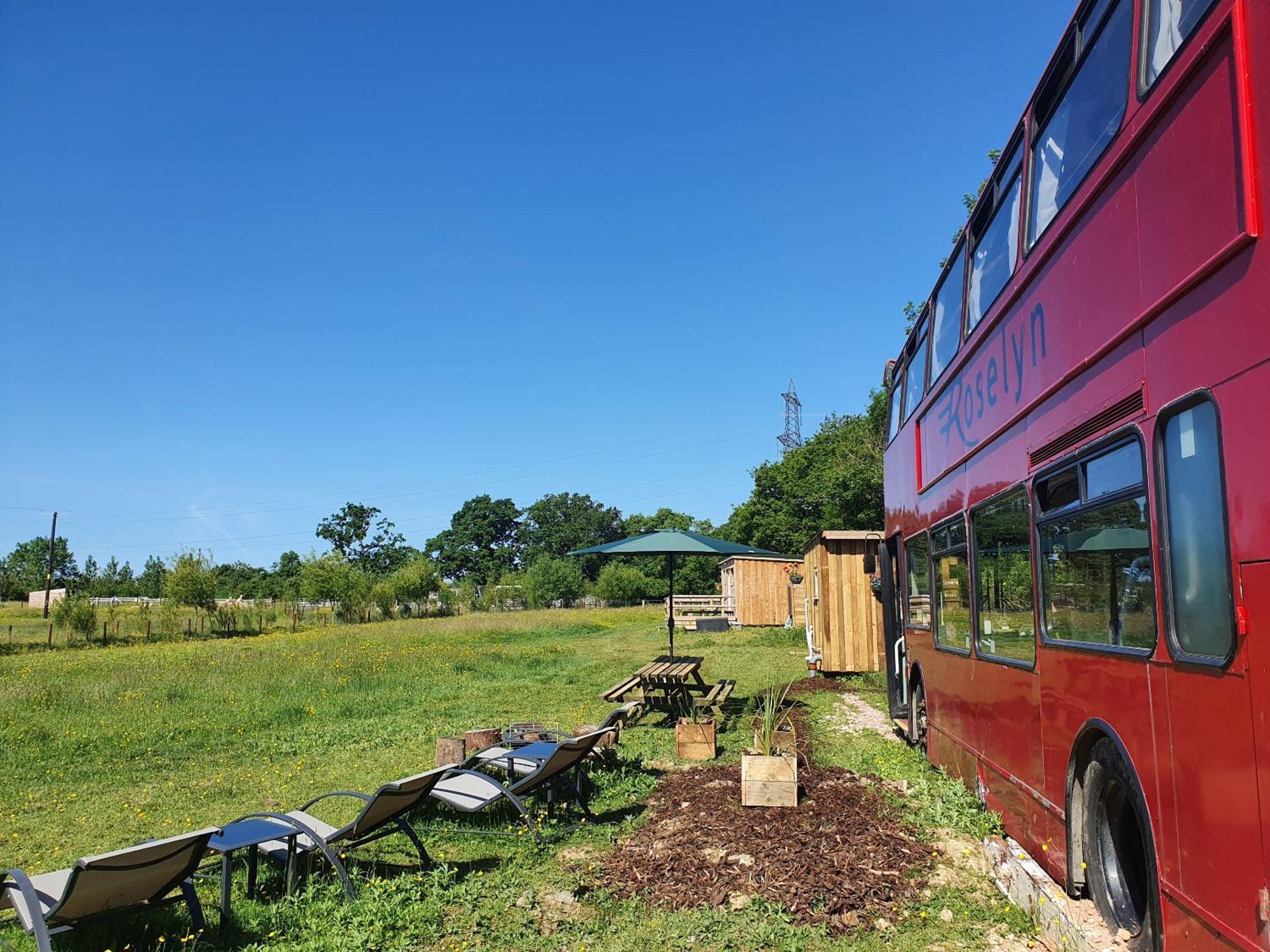Dartmoor Reach Alpaca Farm Heated Cabins 5 Mins Drive To Dartmoor Bovey Tracey Bagian luar foto